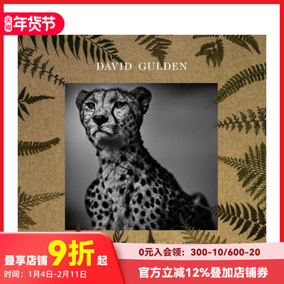 【现货】David Gulden：无惧无望（非洲平原摄影记录） Photographs from the Plains of Africa 原版英文摄影作品集纪实艺术