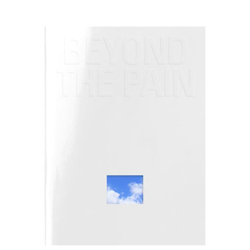 【预售】超越痛苦 辛德芬根市画廊同名展览画册 Beyond the Pain 原版英文艺术画册画集 善本图书