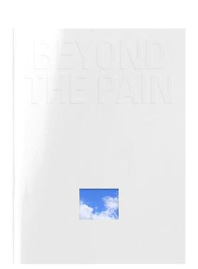 【预售】超越痛苦 辛德芬根市画廊同名展览画册 Beyond the Pain 原版英文艺术画册画集 善本图书