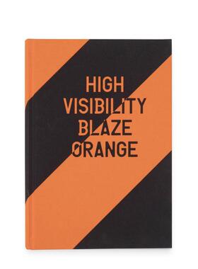 【预售】高能见度（火焰橙色） High Visibility (Blaze Orange) 原版英文摄影