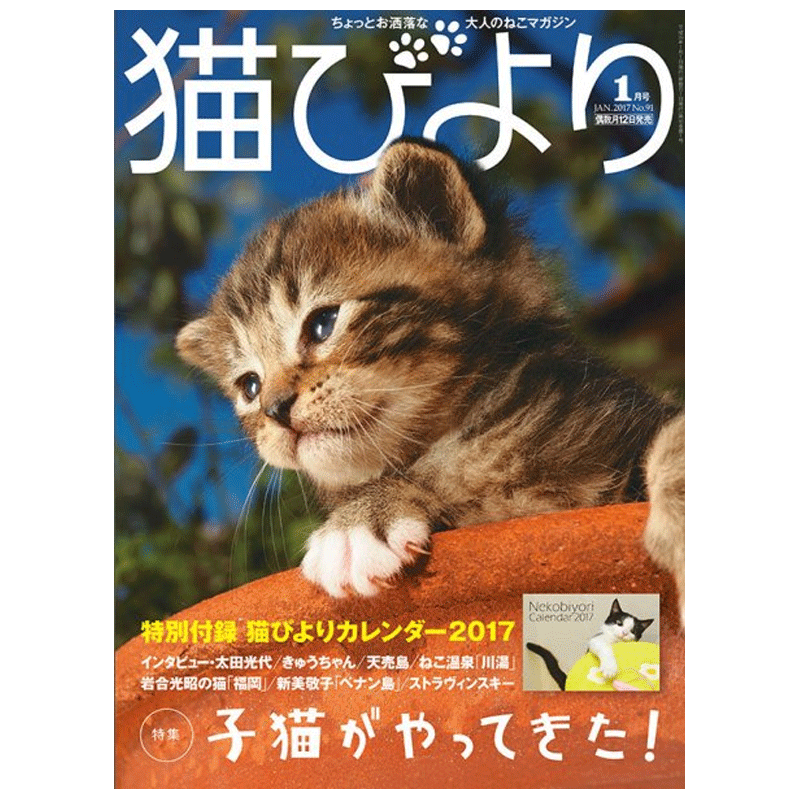 【订阅】猫びより日本日文原版猫咪宠物杂志年订4期 E193 善本图书