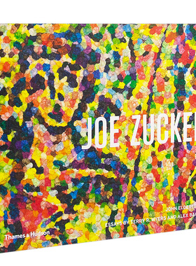 【现货】【T&H】Joe Zucker 乔·扎克 英文原版 现当代艺术 艺术家专著 工艺艺术