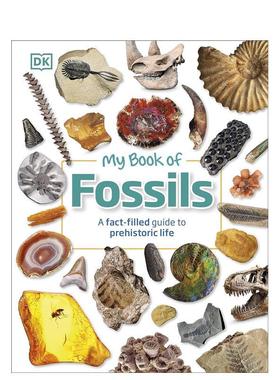 【现货】我的化石之书  My Book of Fossils 恐龙知识 英文原版进口儿童读物 善本图书