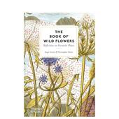 Wild 预售 植物插画集 Book Flowers 野花之书 英文插画原画设定集 原版 The 善本图书