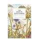 Wild 预售 植物插画集 Book Flowers 野花之书 英文插画原画设定集 原版 The 善本图书