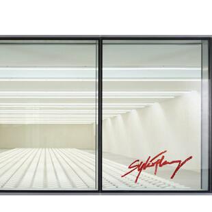 Fleury Sylvie Double 原版 瑞士观念艺术家Sylvie Positive 英文艺术画册画集 预售