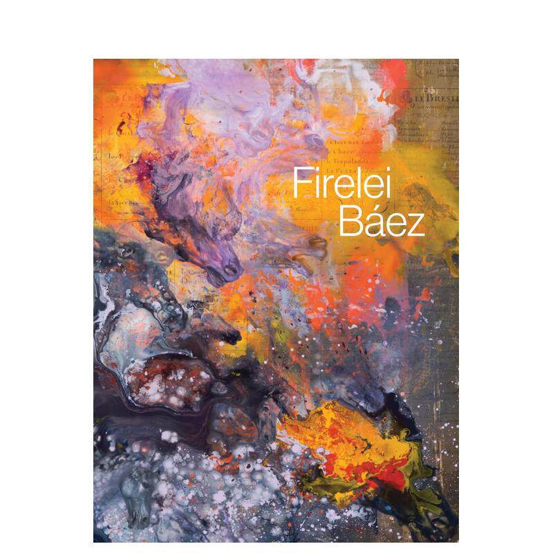 【现货】艺术家Firelei Baez Firelei Baez 原版英文艺术画册画集