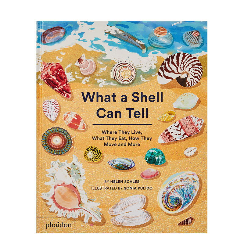【现货】贝壳跟你说什么 What A Shell Can Tell 大自然 课外阅读书 科普书籍 英文原版进口青少年读物儿童绘本 善本图书