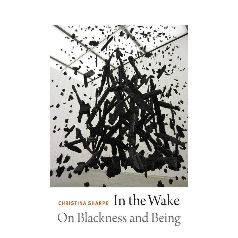 【现货】In the Wake: On Blackness and Being，在苏醒:关于黑暗和存在  英文社会科学 正版进口书籍 善本图书