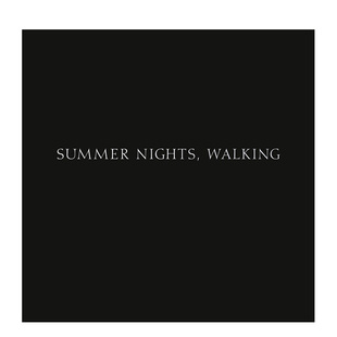 Walking Adams 现货 善本图书 Robert 漫步夏夜 Summer 英文摄影 原版 Nights 罗伯特·亚当斯