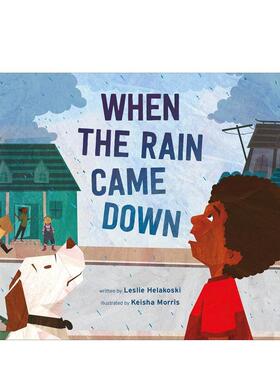 【现货】当雨落下时 When the Rain Came Down 原版英文儿童绘本