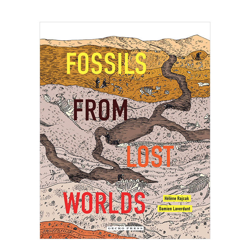 【现货】来自失落世界的化石Fossils From Lost Worlds 人文历史生物百科知识12岁以上少年启蒙英文图册图集 善本图书