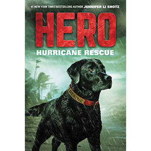 Hurricane 飓风营救 现货 Hero Shotz 绝版 Rescue 善本原版 图书籍进口正版 英文原版 英雄 青少年读物 Jennifer
