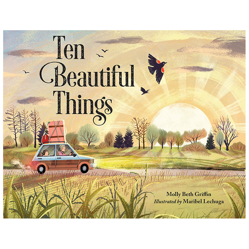 【现货】英文原版 十种美丽的事物 Ten Beautiful Things 儿童英语桥梁分级章节故事阅读拓展 进口图书 善本童书