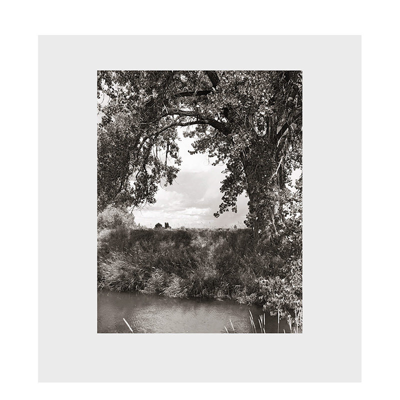 【预售】英文原版 罗伯特·亚当斯:三角叶杨 Robert Adams: Cottonwoods 摄影师专辑 正版进口书籍 善本图书