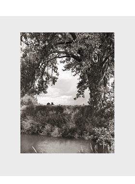 【现货】英文原版 罗伯特·亚当斯:三角叶杨 Robert Adams: Cottonwoods 摄影师专辑 正版进口书籍 善本图书