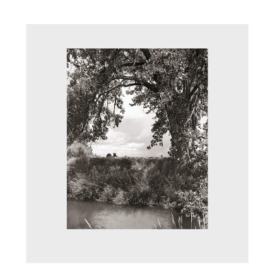 【预售】英文原版 罗伯特·亚当斯:三角叶杨 Robert Adams: Cottonwoods 摄影师专辑 正版进口书籍 善本图书