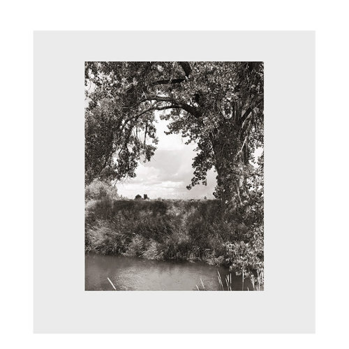 【现货】英文原版 罗伯特·亚当斯:三角叶杨 Robert Adams: Cottonwoods 摄影师专辑 正版进口书籍 善本图书