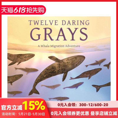 【现货】十二抹深海灰：鲸群迁徙冒险 Twelve Daring Grays: A Whale Migration Adventure 原版英文儿童绘本 善本图书