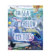 The Closer 海 Toes Sea Below Look 善本图书 预售 我脚下 原版 英文儿童绘本 手风琴书