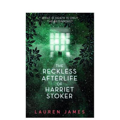 【现货】鲁莽的来世 Reckless Afterlife  原版英文青少年读物