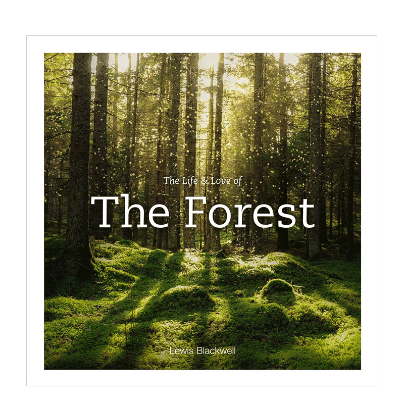 森林的生命和爱自然风格