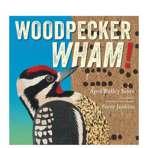 啄木鸟咚咚！ Woodpeck
