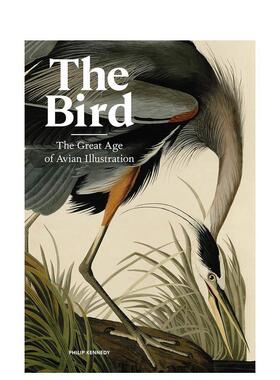 【现货】鸟：鸟类插画的伟大时代 The Bird : The Great Age of Avian Illustration 原版英文艺术插画原画设定集