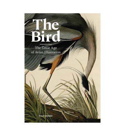 【现货】鸟：鸟类插画的伟大时代 The Bird : The Great Age of Avian Illustration 原版英文艺术插画原画设定集