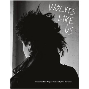 Wolves Like Us，像我们这样的狼少年 英文正版艺术摄影图书