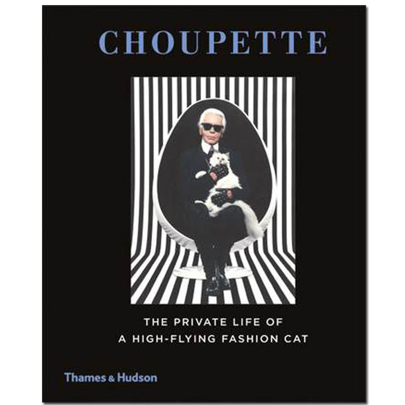 进口原版图书 英文时尚生活