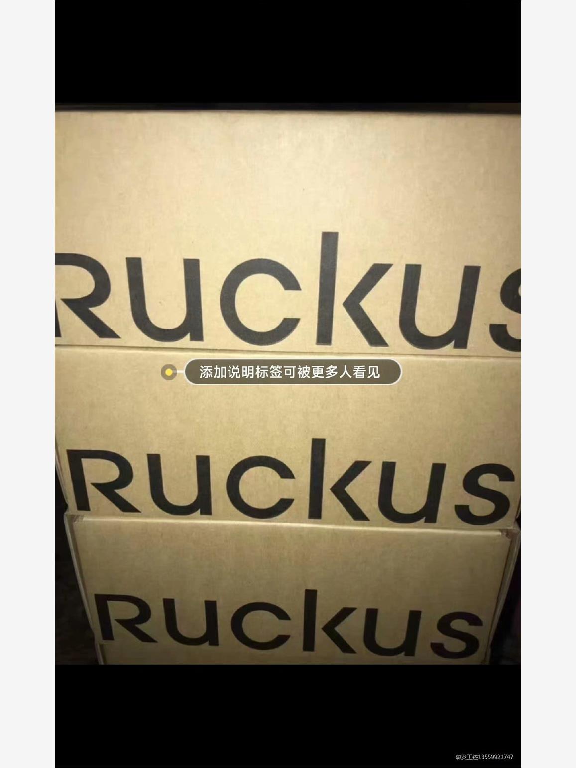 Ruckus优科 9新 R610 无线AP 901-R610