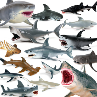 鲨鱼玩具仿真海洋生物动物模型大白鲨巨齿鲨虎鲨塑胶儿童手办摆件