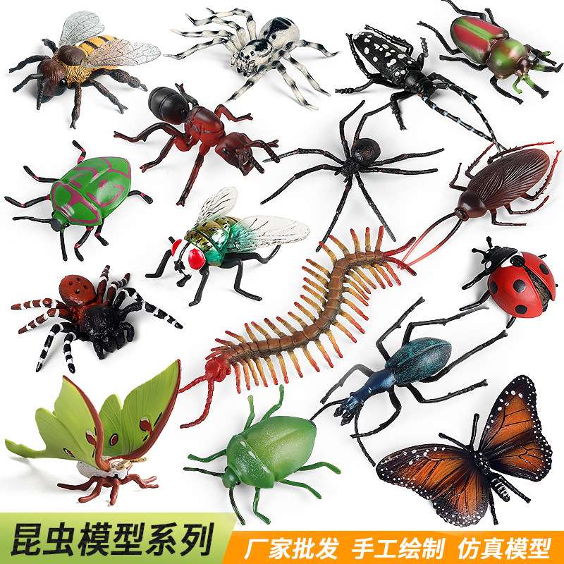 仿真昆虫实心塑胶认知模型玩具