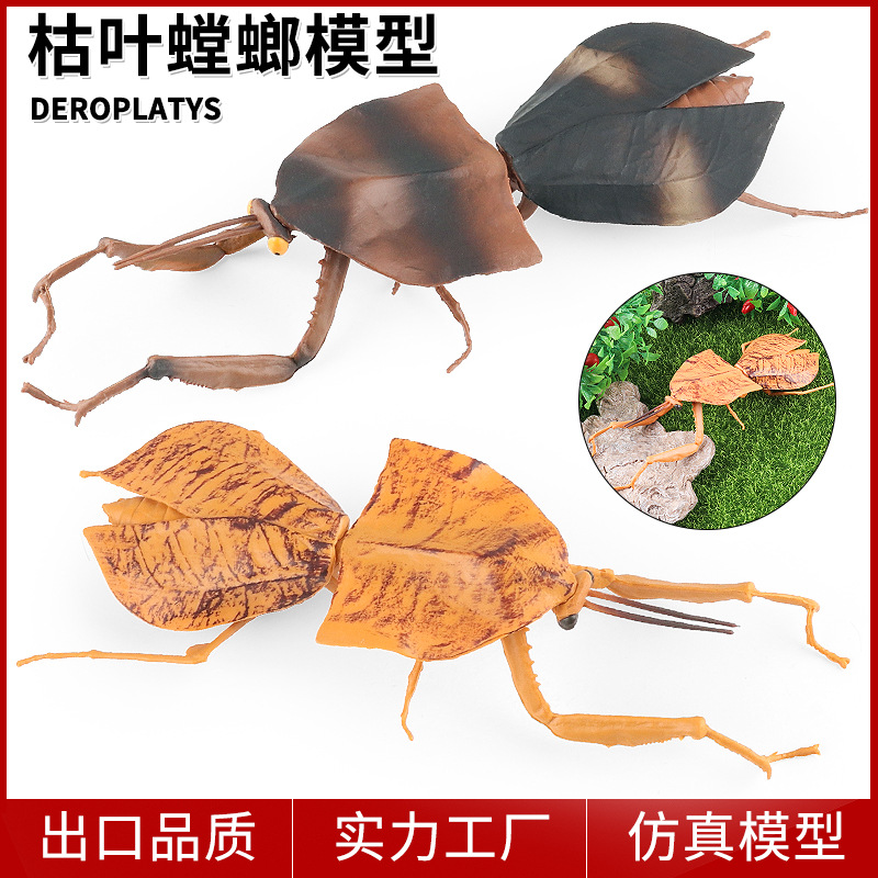 仿真枯叶螳螂昆虫动物模型儿童早教认知生态造景摆件镰刀螳螂玩具