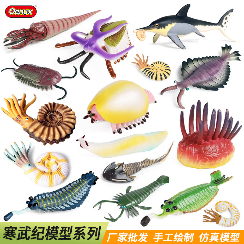 史前海洋生物实心玩具