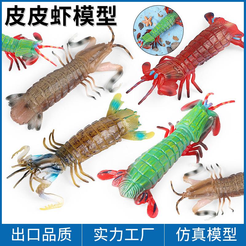 儿童认知仿真皮皮虾海洋生物动物模型琵琶虾雀尾螳螂虾造景玩具