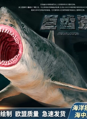 巨齿鲨玩具仿真海洋生物史前鲨鱼模型大小号大白鲨锤头鲨鲸鲨摆件