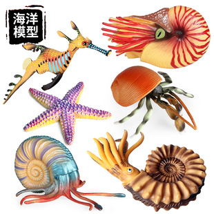 儿童仿真海洋模型鹦鹉螺寄居蟹海马海星摆件男女孩认知动物玩具