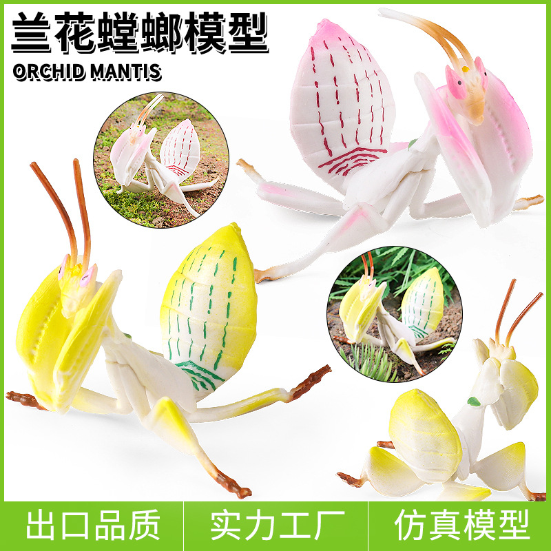 兰花螳螂模型实心儿童仿真节肢昆虫玩具刀螂枯叶螳螂蝴蝶认知摆件