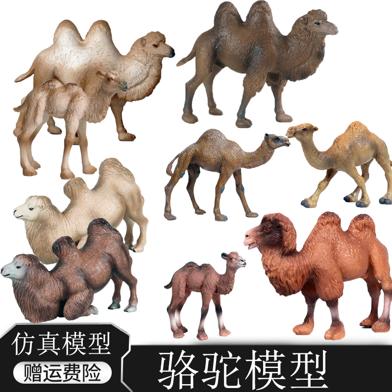 佰乐奇双峰骆驼实心塑胶模型玩具