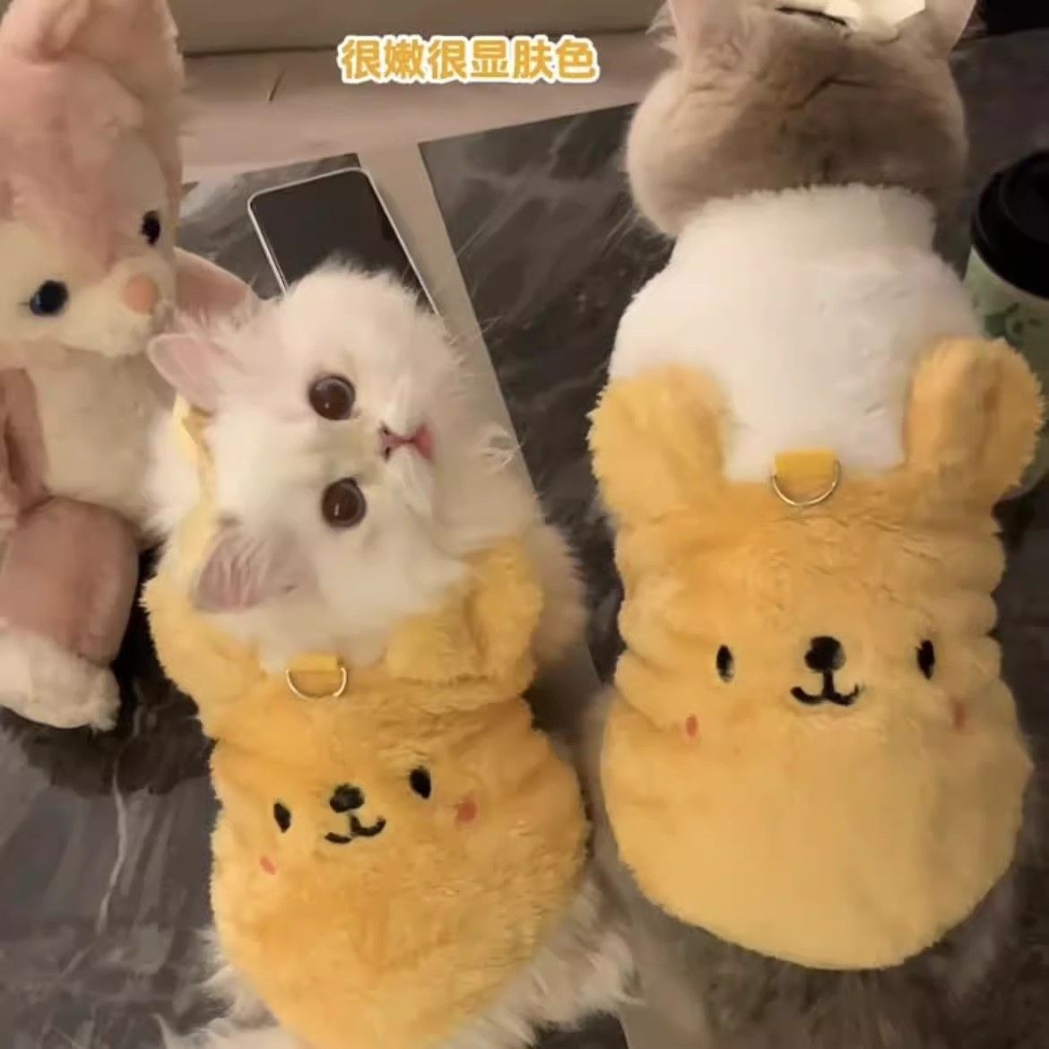 宠物猫咪衣服冬季防掉毛保暖背心可爱布偶银渐层蓝猫幼猫加绒棉衣