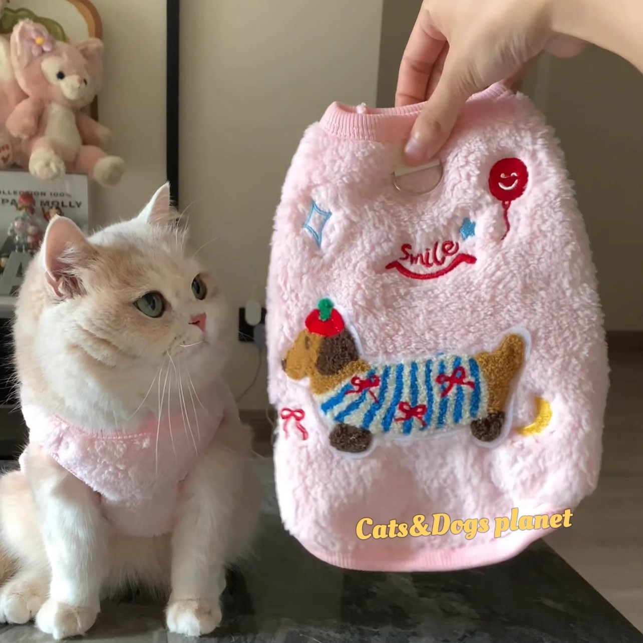 宠物猫咪衣服秋冬款刺绣腊肠狗