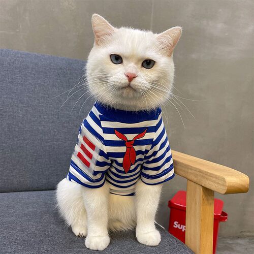 春夏四脚家居服猫狗防掉毛