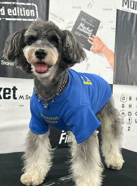 狗狗宠物衣服夏季时尚字母蓝色T恤萌宠小型犬比熊泰迪雪纳瑞博美