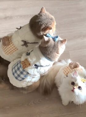 猫咪衣服秋冬可爱小熊保暖加绒背心金渐层布偶猫英短小猫宠物服饰