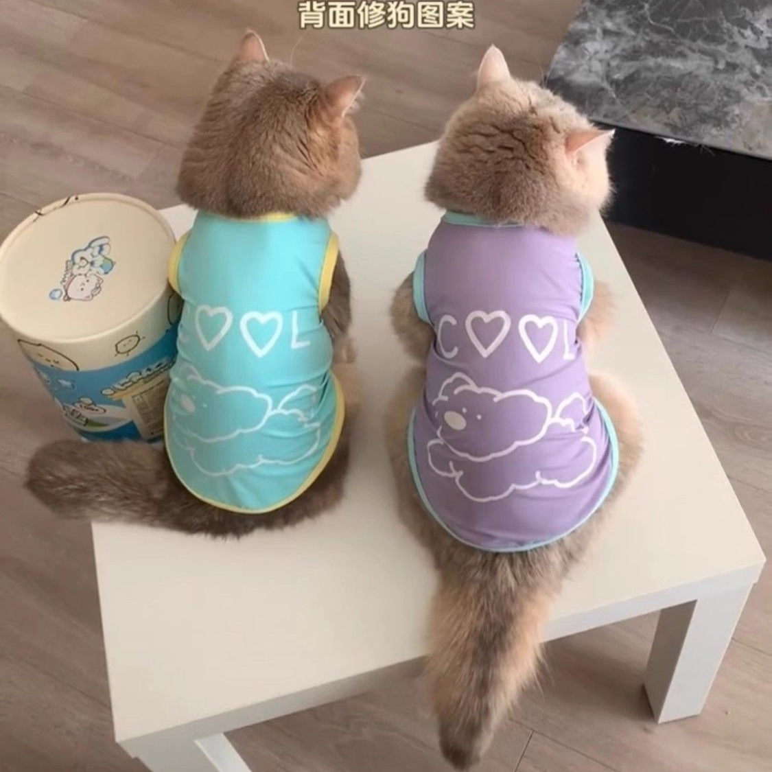 猫咪衣服薄款透气背心两脚衣服饰