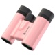 雷龙迷你高清高倍时尚 便携双筒望远镜户外演唱会球赛旅游10x22