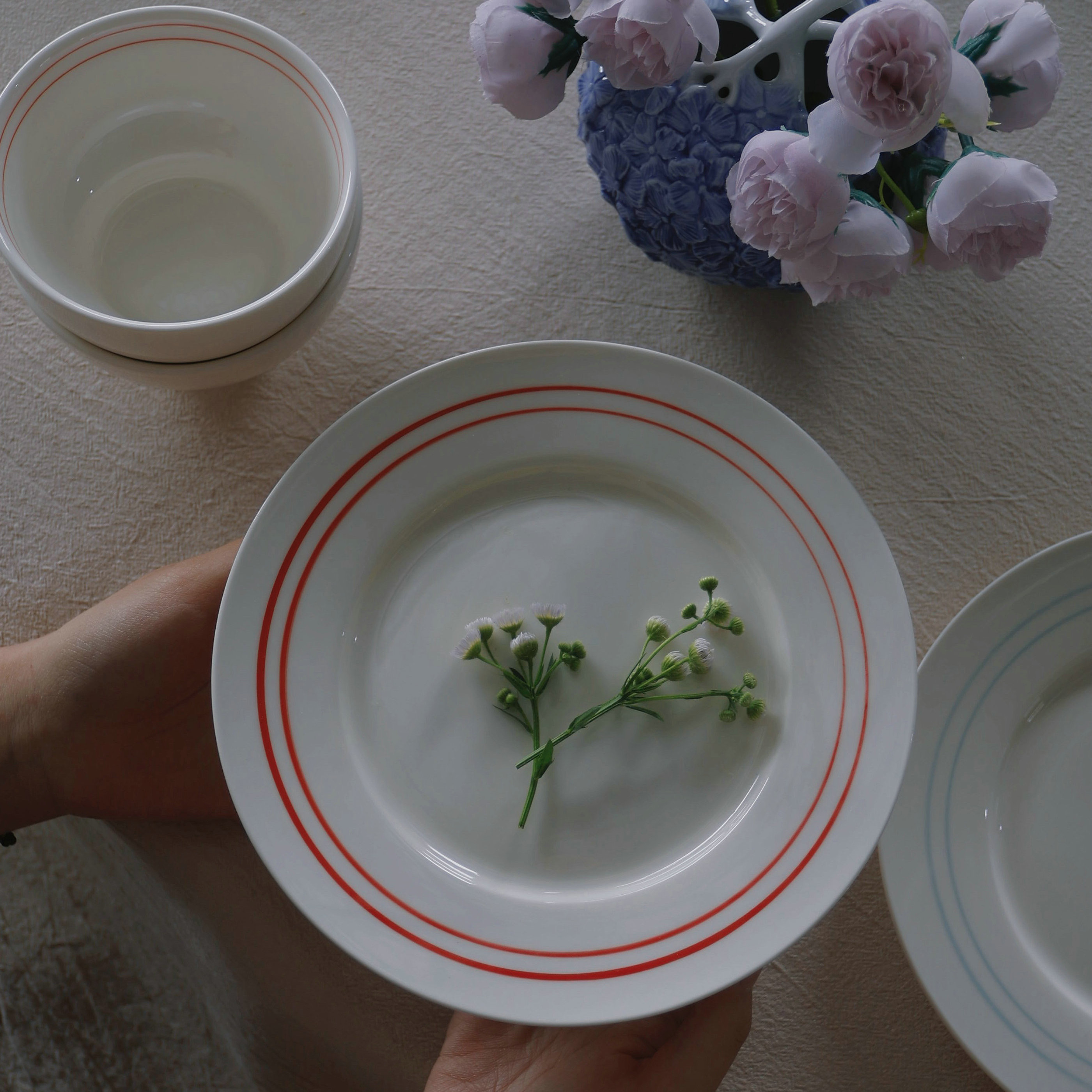 ins韩式简约双线条沙拉盘