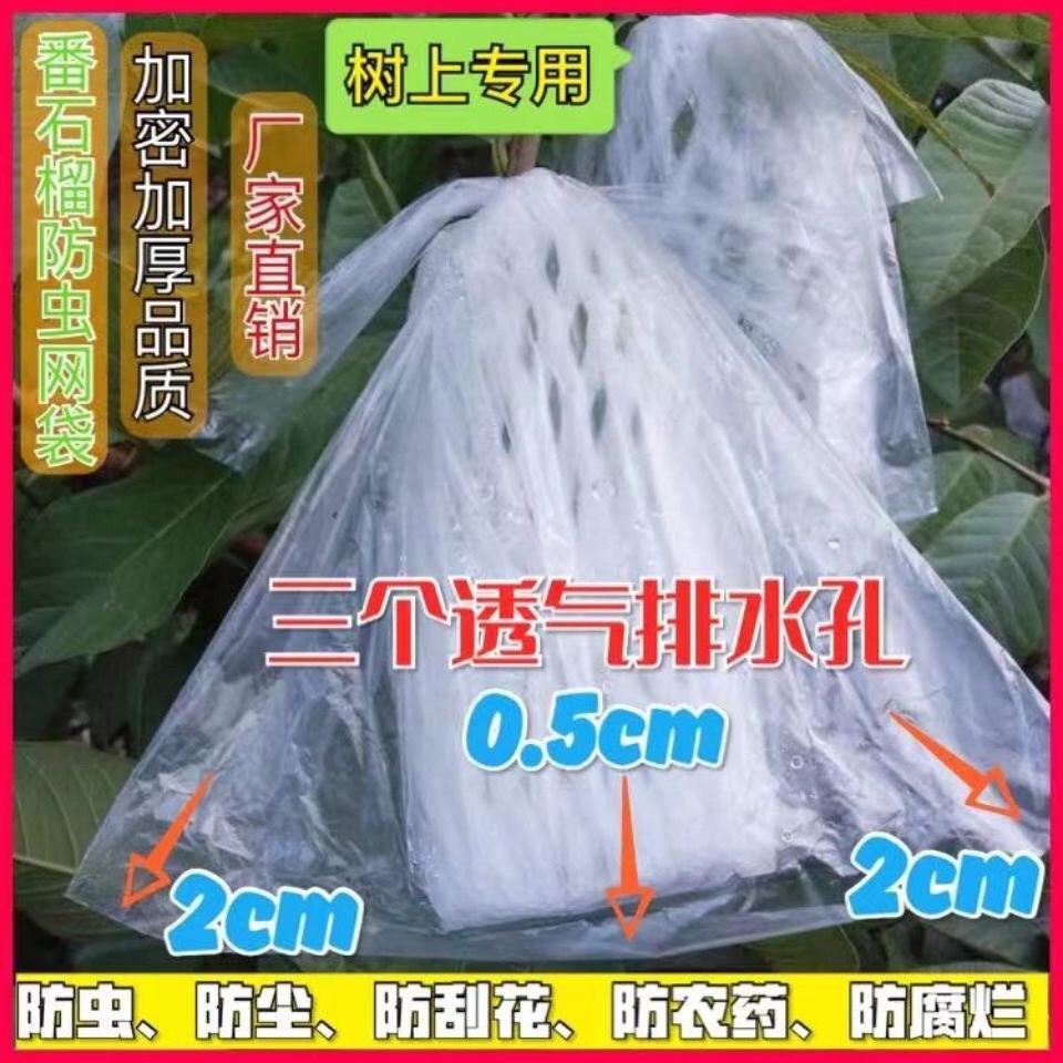 番石榴套袋芭乐套袋防虫一体袋泡沫网保护网袋防果蝇防虫套袋包邮